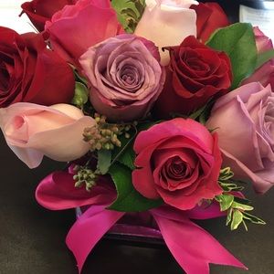 Meet your Posher, Erin